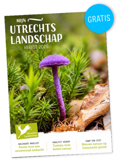 Herfstnummer van Utrechts Landschap
