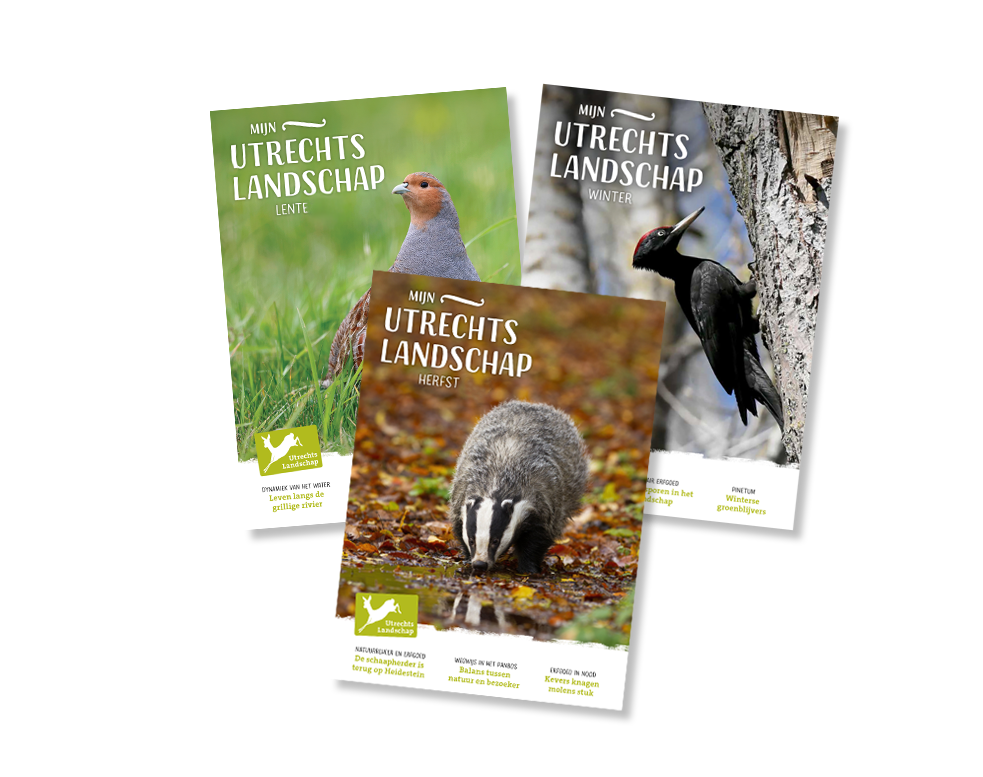 Drie edities van het magazine