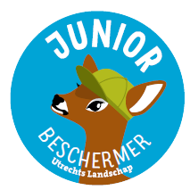 Junior Beschermer