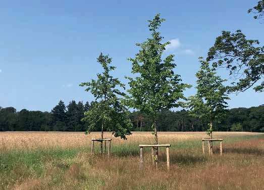 Landgoed Beerschoten