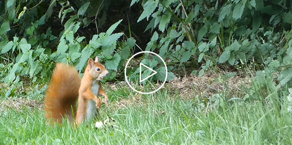 Natuurweetje mastjaar