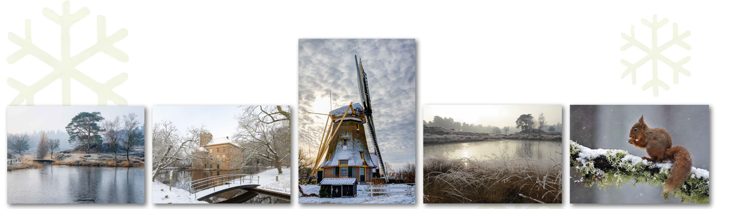 Kerstkaarten – winterbeelden uit het Utrechtse landschap