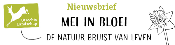 Nieuwsbrief Utrechts Landschap