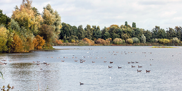 Hooge Kampse Plas