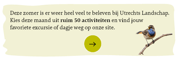 Agenda met excursies en activiteiten
