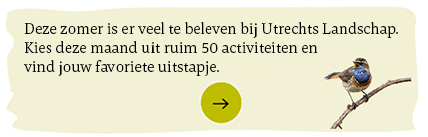 Agenda met excursies en activiteiten