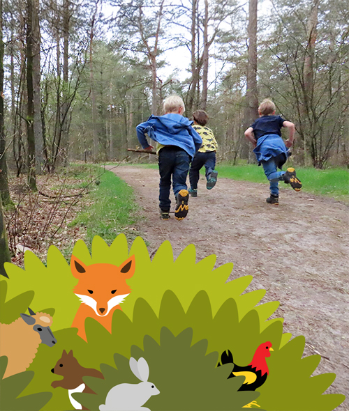 Beestenbos Landgoed Heidestein