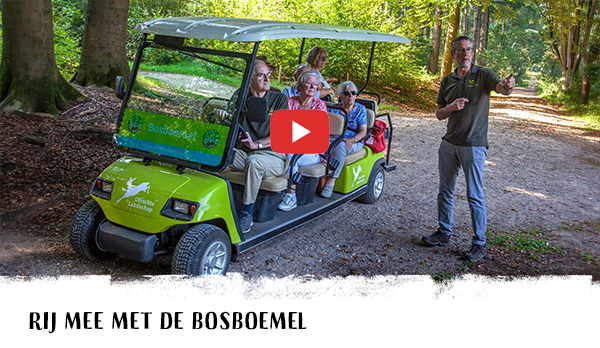 Rij mee met de Bosboemel