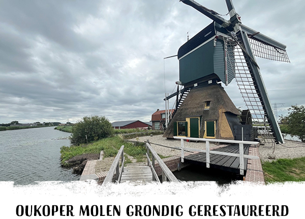 Natuur(boek)inspiratie voor je vakantie
