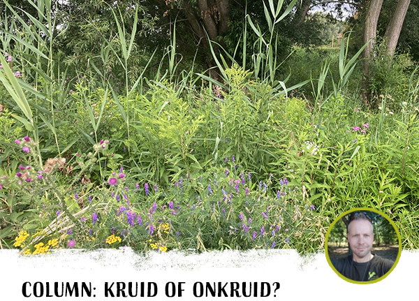 Natuur(boek)inspiratie voor je vakantie