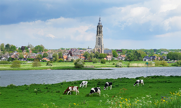 Polders Bolgerijen en Autena