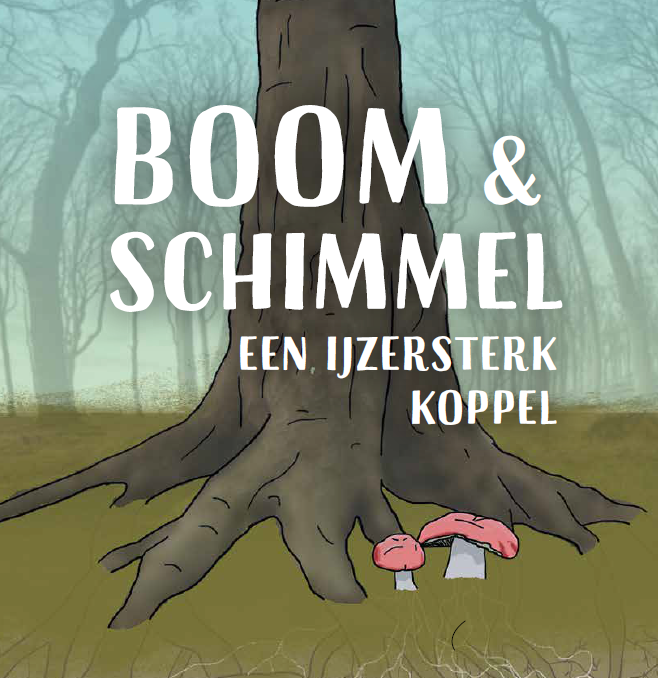 Boom & schimmel: een ijzersterk koppel